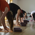 PTF Yoga mit Veronique 2022 11