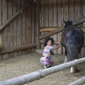 Pferdeaktion mit Kindern SC22 15