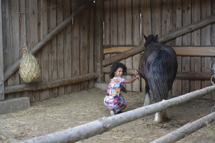 Pferdeaktion mit Kindern SC22 15