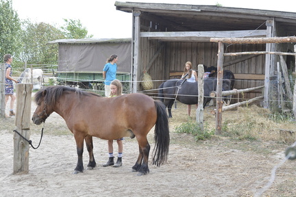 Pferdeaktion mit Kindern SC22 18